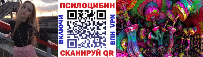 где купить   Тырныауз  Галлюциногенные грибы MAGIC MUSHROOMS 