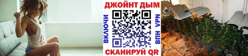 где найти наркотики  Тырныауз  Бошки марихуана план 